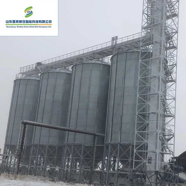 1000T Silo de acero galvanizado inferior de tolva para soja de trigo de maíz Almacenamiento de grano