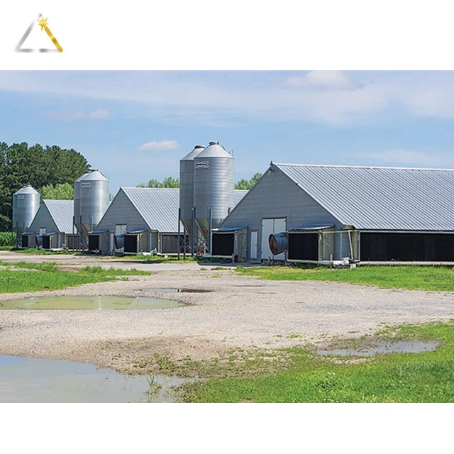 H Type Hot DIP Galvanized Steel Structure Poultry Farm House Building for Chickens Pigs Cows