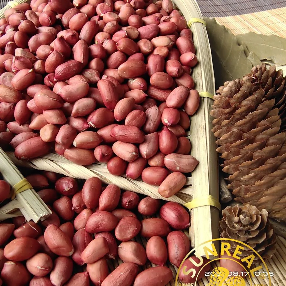 Raw Peanut Kernels/Red Skin/Quality Assurance/All Size/Pukee Foods/Sunreal/Fine Packing