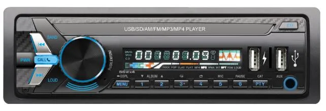 Fixed Panel Car MP3 Player with Double USB