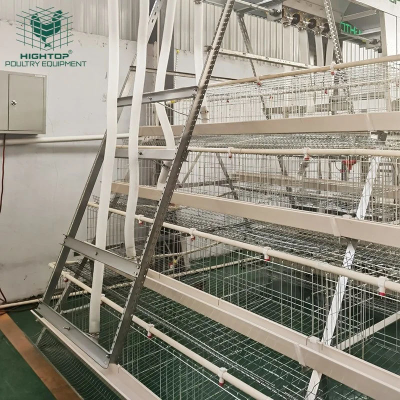 Zinc Aluminum Multi Tiers  Layer Chicken Cage With Automatic Drinking And Feeding System