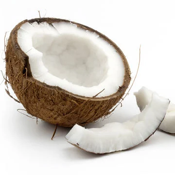 Organic Coconut Milk Powder