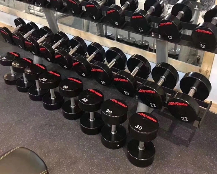 Gym Equipment Dumbbells Osf004 Free Weight 2kg PU Dumbbell