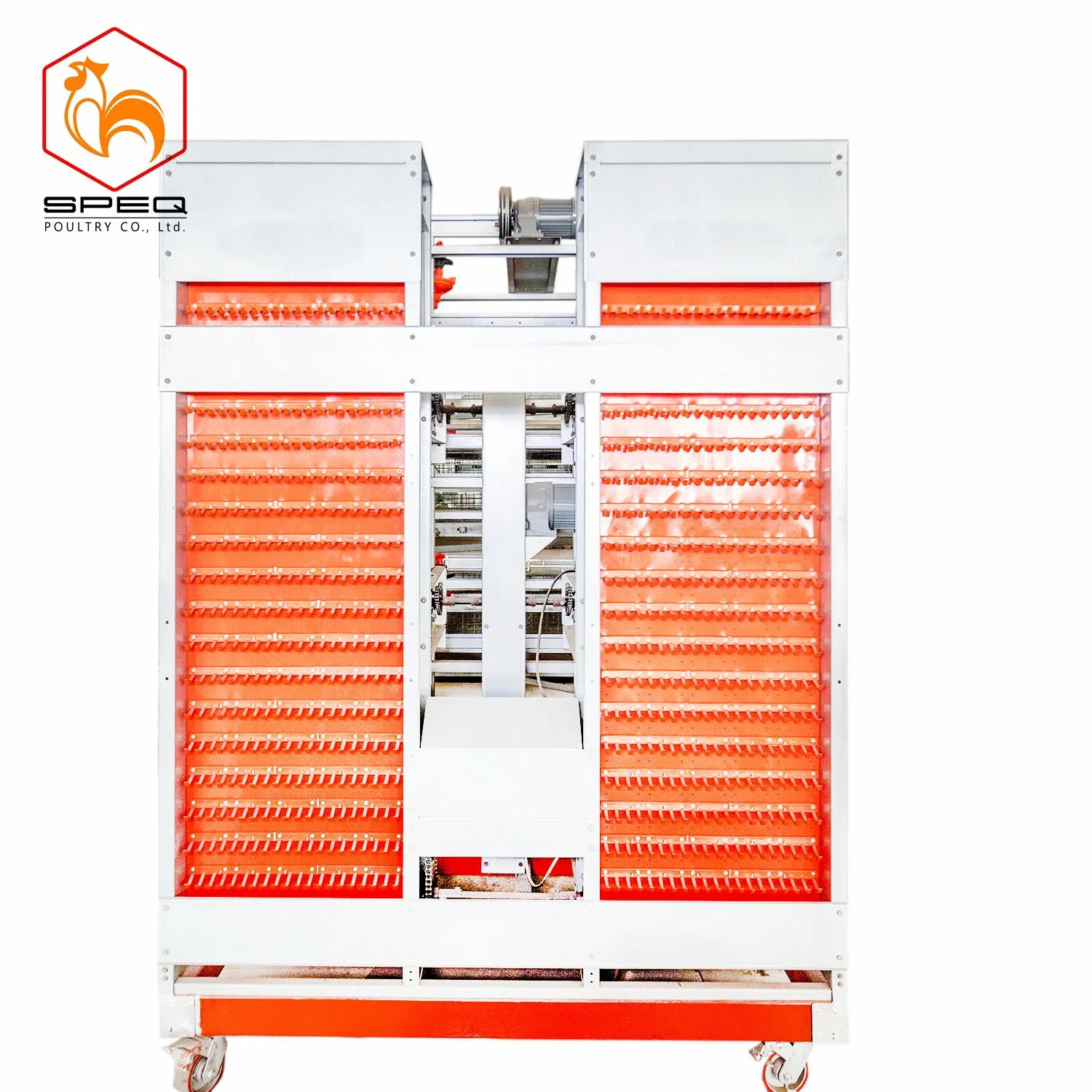 Livestock Machinery Automatic Poultry Farm Cage Feeding System for Layer