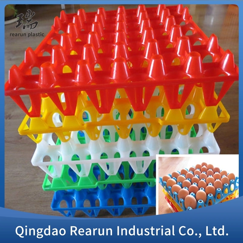 Hot Sale Plastic Egg Trays Custom Color