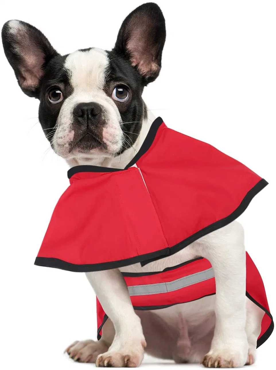 Dog Raincoat pelos melhores fontes de PET