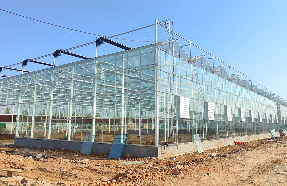 Po Film serre en verre pour la ferme le jardin de l'élevage et la reproduction avec la culture hydroponique/l'irrigation de la chaudière du ventilateur système