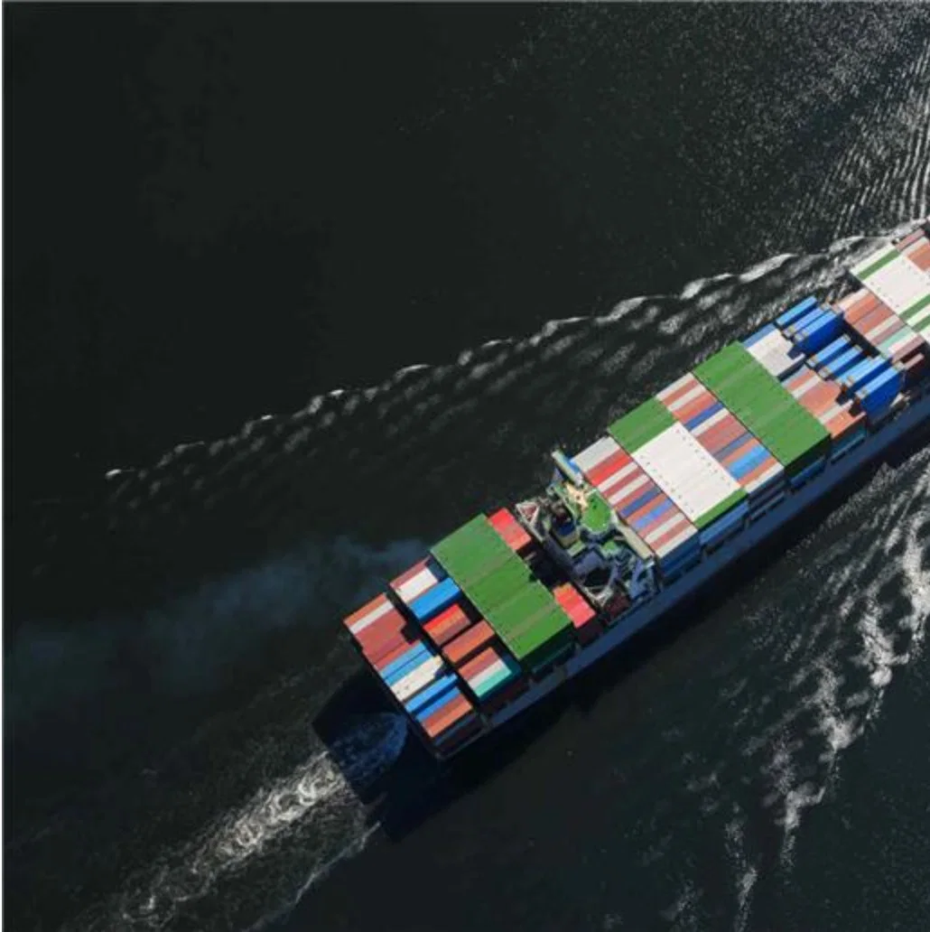 Fast Courier Agent Sea Shipping Ocean Freight Forwarder to Peru/Canada