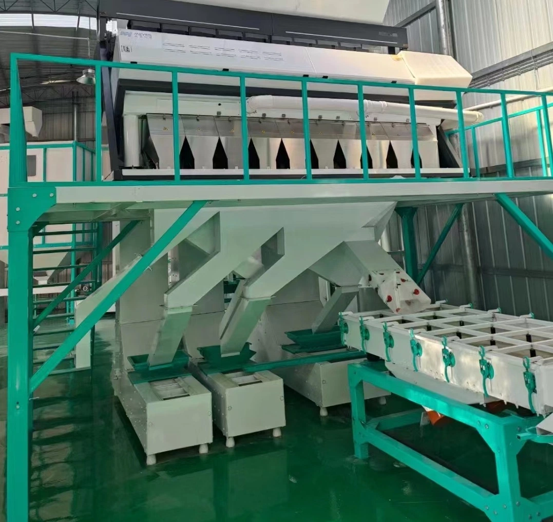 10 Channels Color Sorter Grain Cleaning