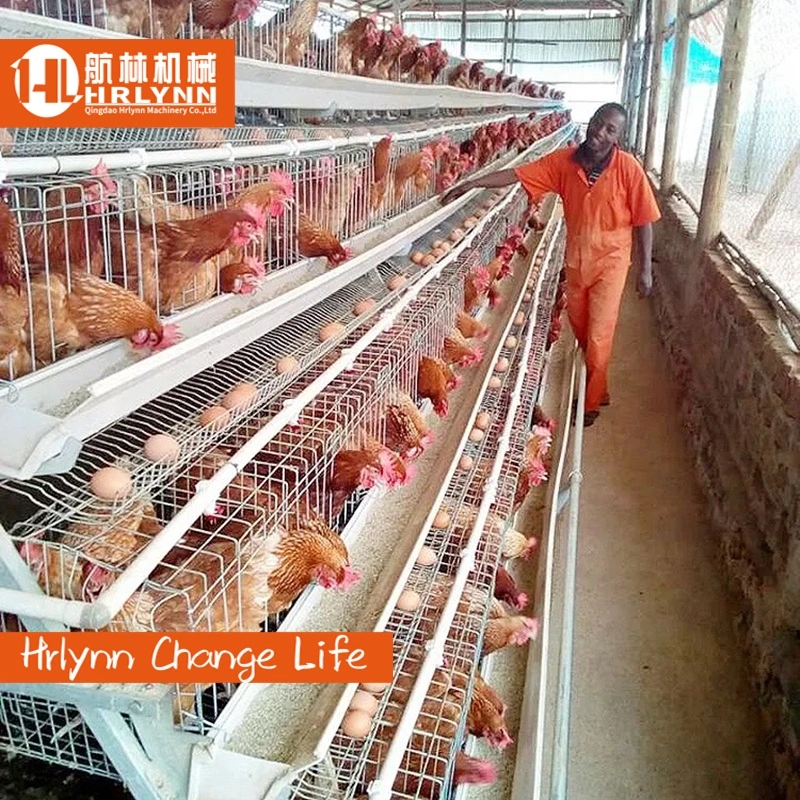 Chinas Top-Lieferant von Schichten Chicken Battery Cage