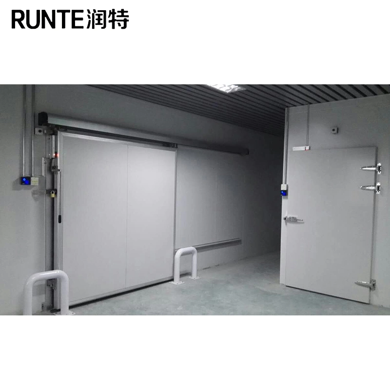 Runte Brand Vegetable Fruit New Customized Small and Big Sizes Cooling Foods Freezer Room Cold Storage