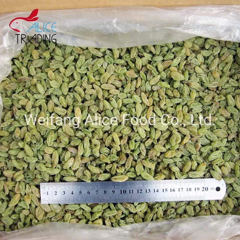 Xinjiang Raisins Green Raisins Long Shape and Big Size Dry Grapes