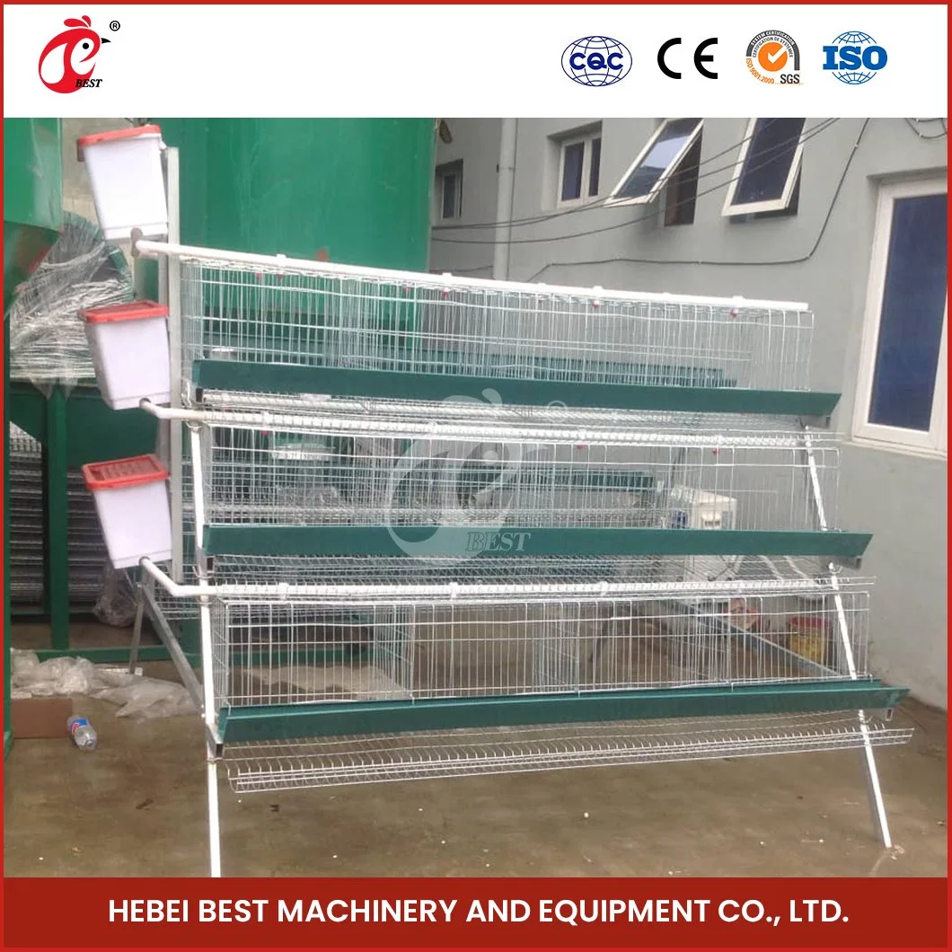 Bestchickencage a Type Small Pullet Cage Breeder Cage China Double Pullet Chicken Coop Factory Sample Available Black/Green/Blue Laboratory Chicken Pullet Cage