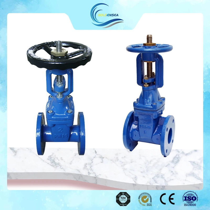 Manufacturers Gate Valve Pn16 Carbon Steel Casting and Body Price