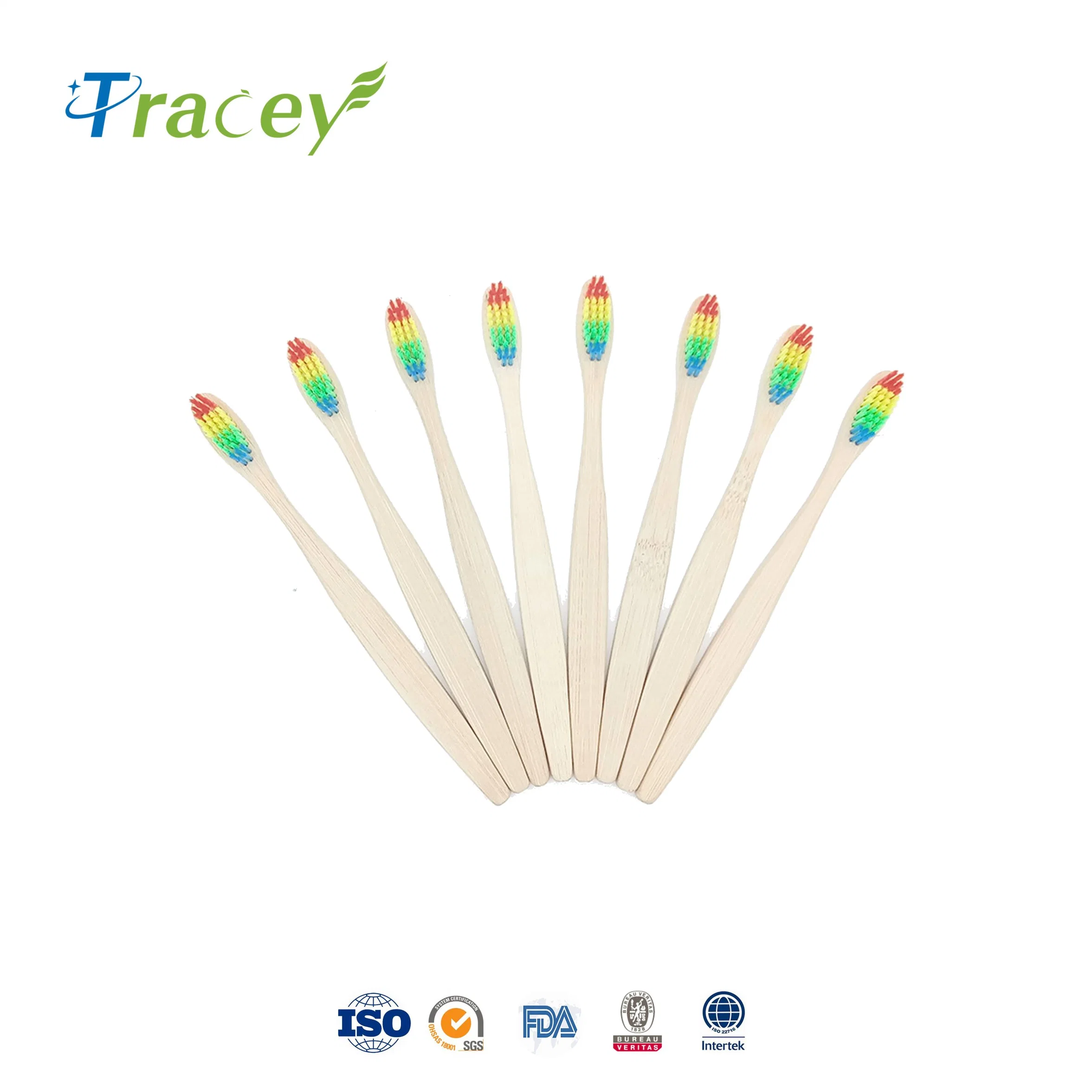 Biodegradable Rainbow Nylon 4 10 Pack 10 PCS Charcoal Bamboo Toothbrush Manufacturer