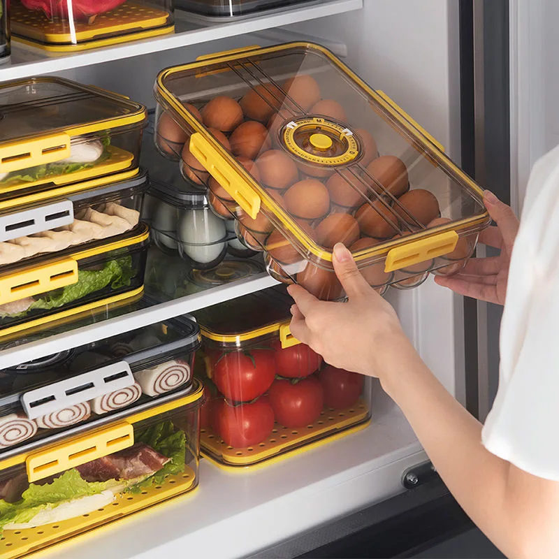 Transparent Clear Refrigerator Egg Storage Box