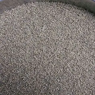 Organic Millet Is Directly Sold as Stomach Food Under The Best Environment in China