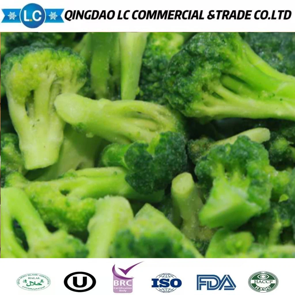 Nuevo cultivo de brócoli verde congelado IQF chino de alta calidad y bajo precio