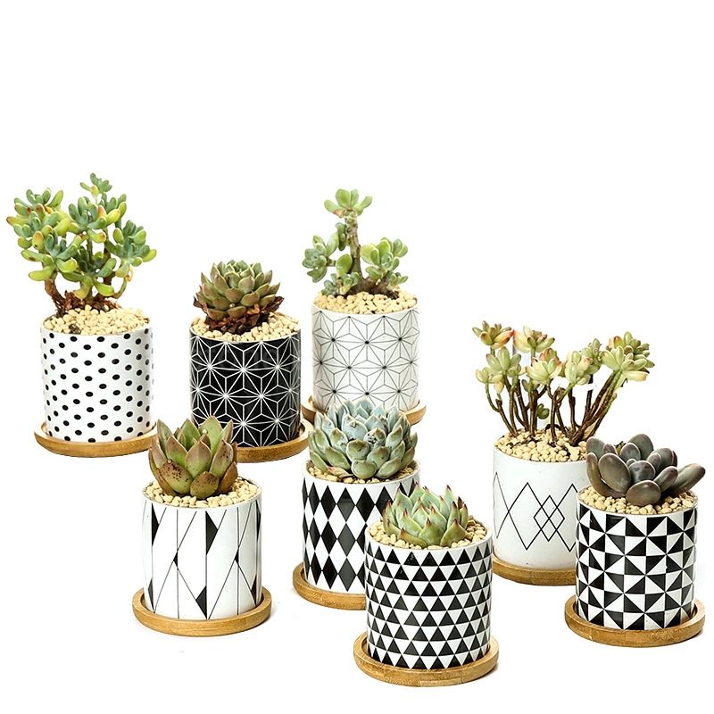 Europe Geometric Design Garden Plants Flower Pot Ceramic