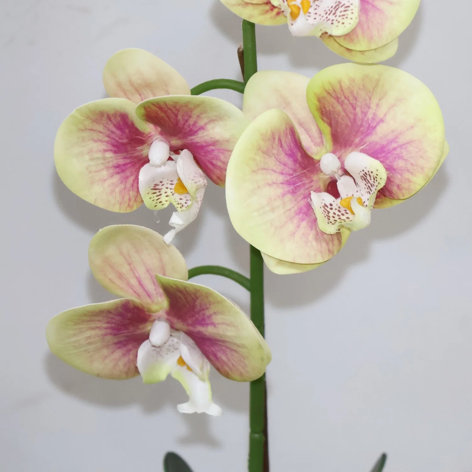 High Quality Silk Flower Phalaenopsis Orchid Arrangement Plastic Artificial Flower Home Decoration