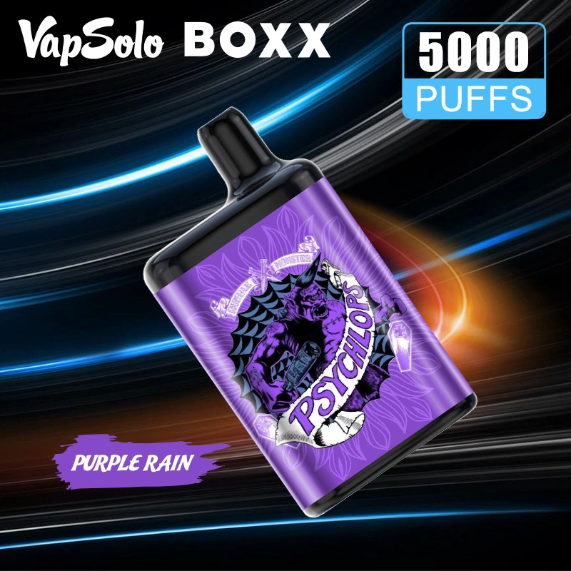 China Vapsolo Vape Pod vape Fruit Flavor 5000 Puffs Smoking Wholesale/Supplier Disposable/Chargeable Vape