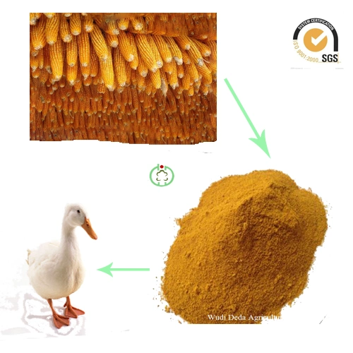 Farinha de glúten de milho Glúten de alta alimentação do gado suíno