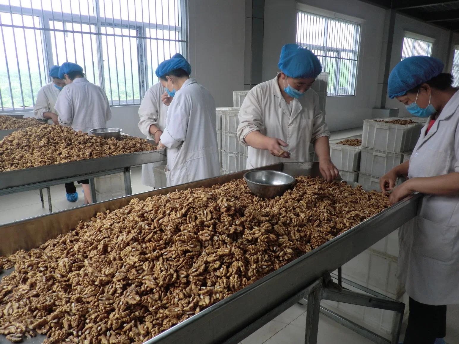 Good Price Xinjiang Walnut Kernels