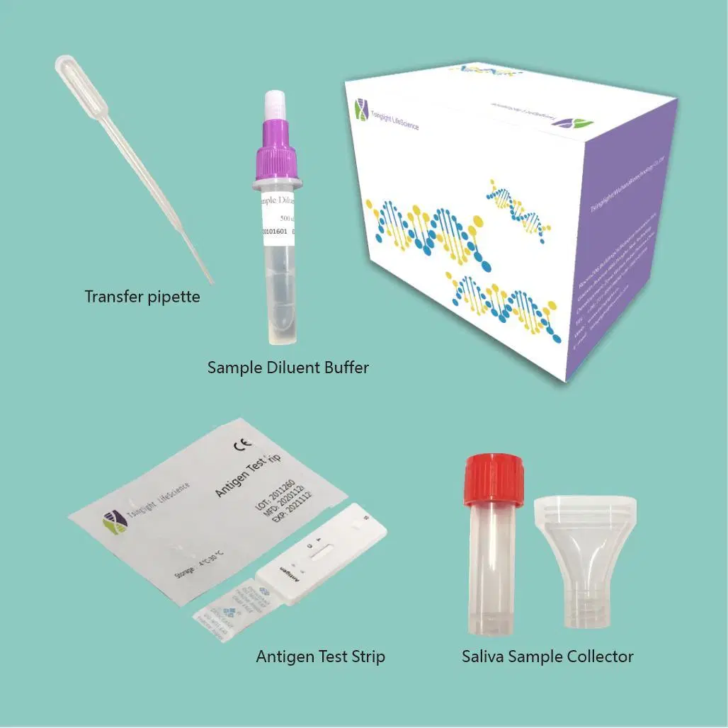 CE/White List Coil Virus Antigen Rapid Diagnostic Test Kit