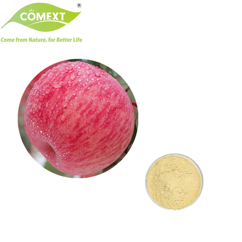 Comext Halal Kشر 100% جودة عالية الجودة أفضل سعر مجاني عيّنات Apple Fruit Juice Powder