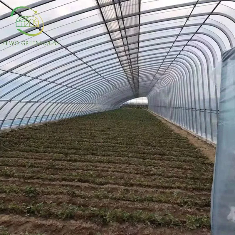 Casa Verde Agrícola Multi-Span invernadero de policarbonato con sistema de plantación hidropónico Para Tomato