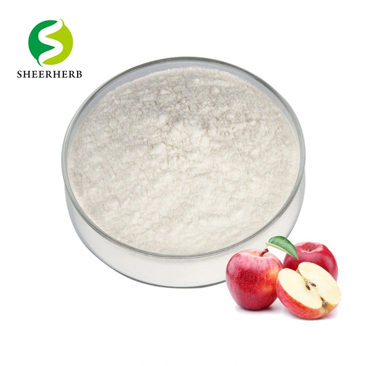 Alimentação de fábrica Melhor Preço puro a granel Apple Extrato de Frutas secas de congelamento do sumo de maçã em pó