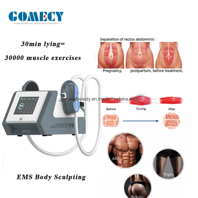 2023 EmSlim Neo RF Machine 2 maneja el cuerpo ardiente de grasa Esculpiendo el estimulador del edificio del músculo