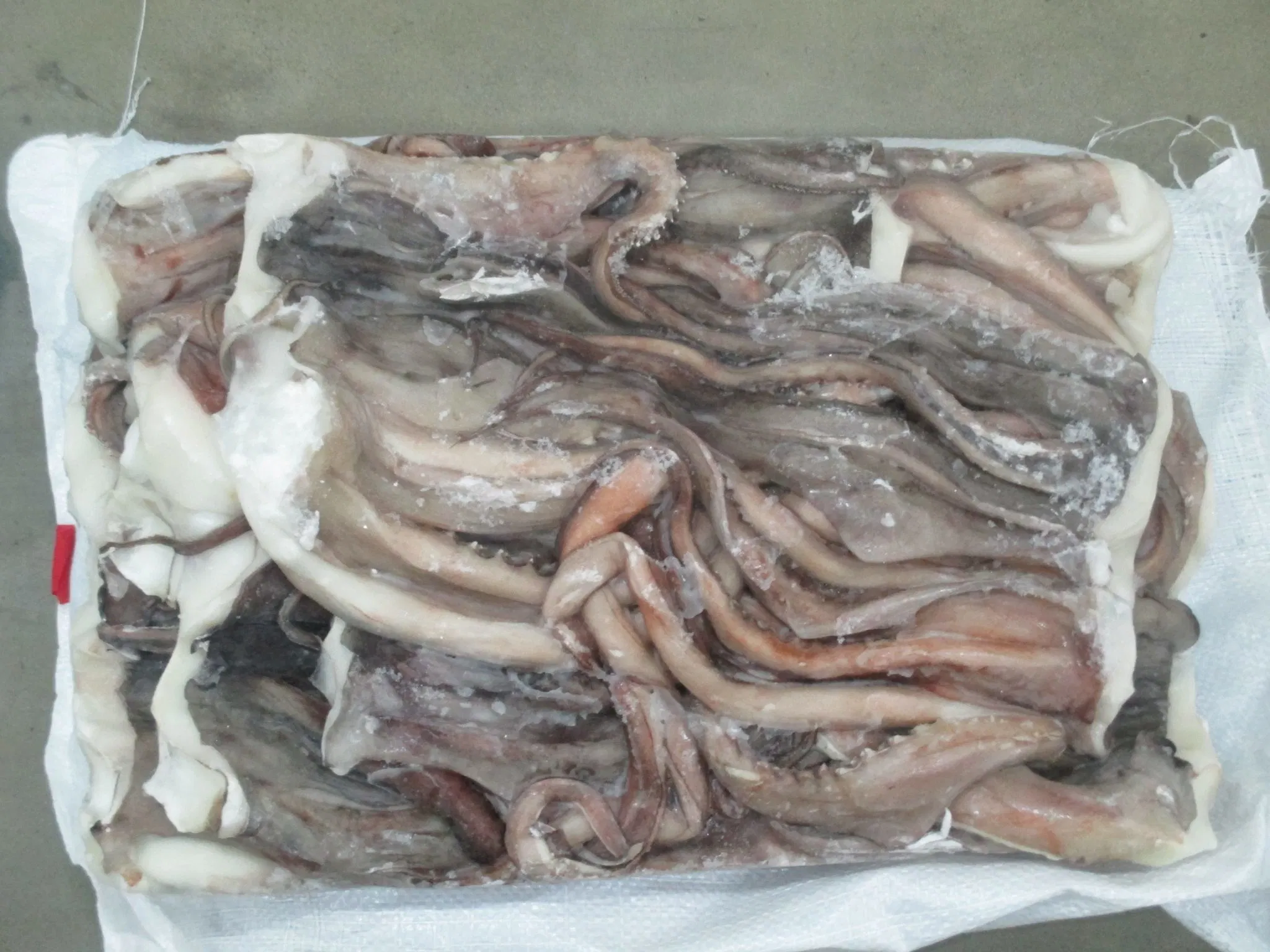 Frozen Seafood Squid/Calamar Pota Tentacle