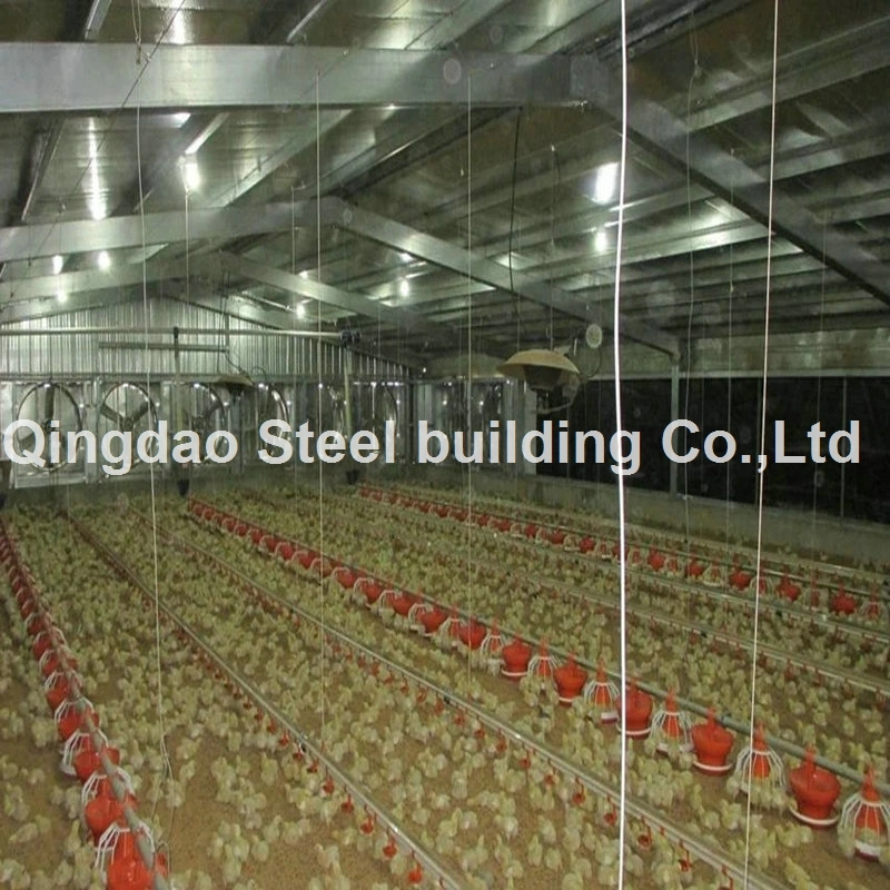 Poultry Chicken Coop House Steel Structure Construction Steel Farm Shed Building