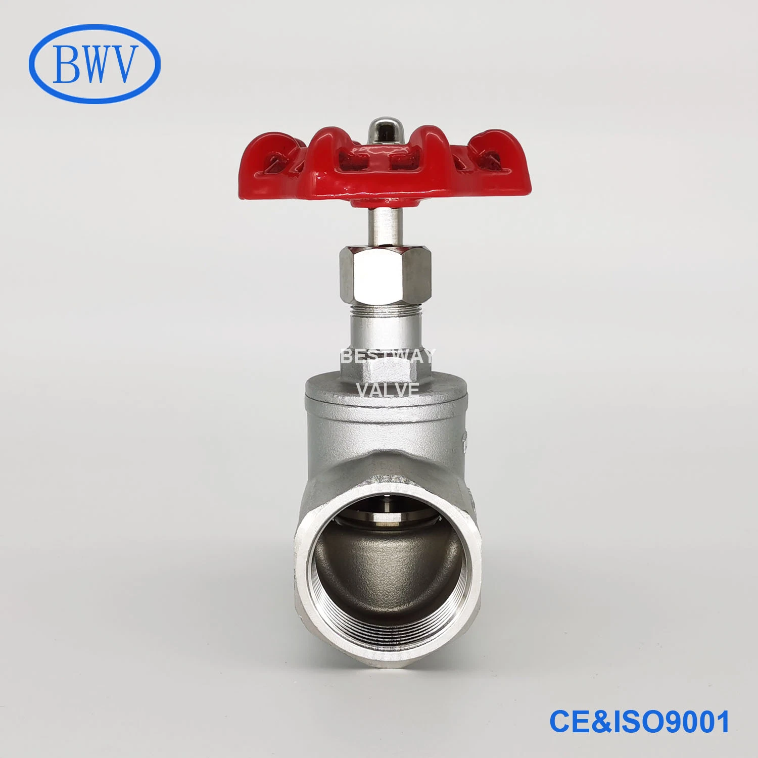 200psi/Pn16 CF8 CF8m NPT/BSPT/BSPP Screwed Stainless Steel Globe Valve