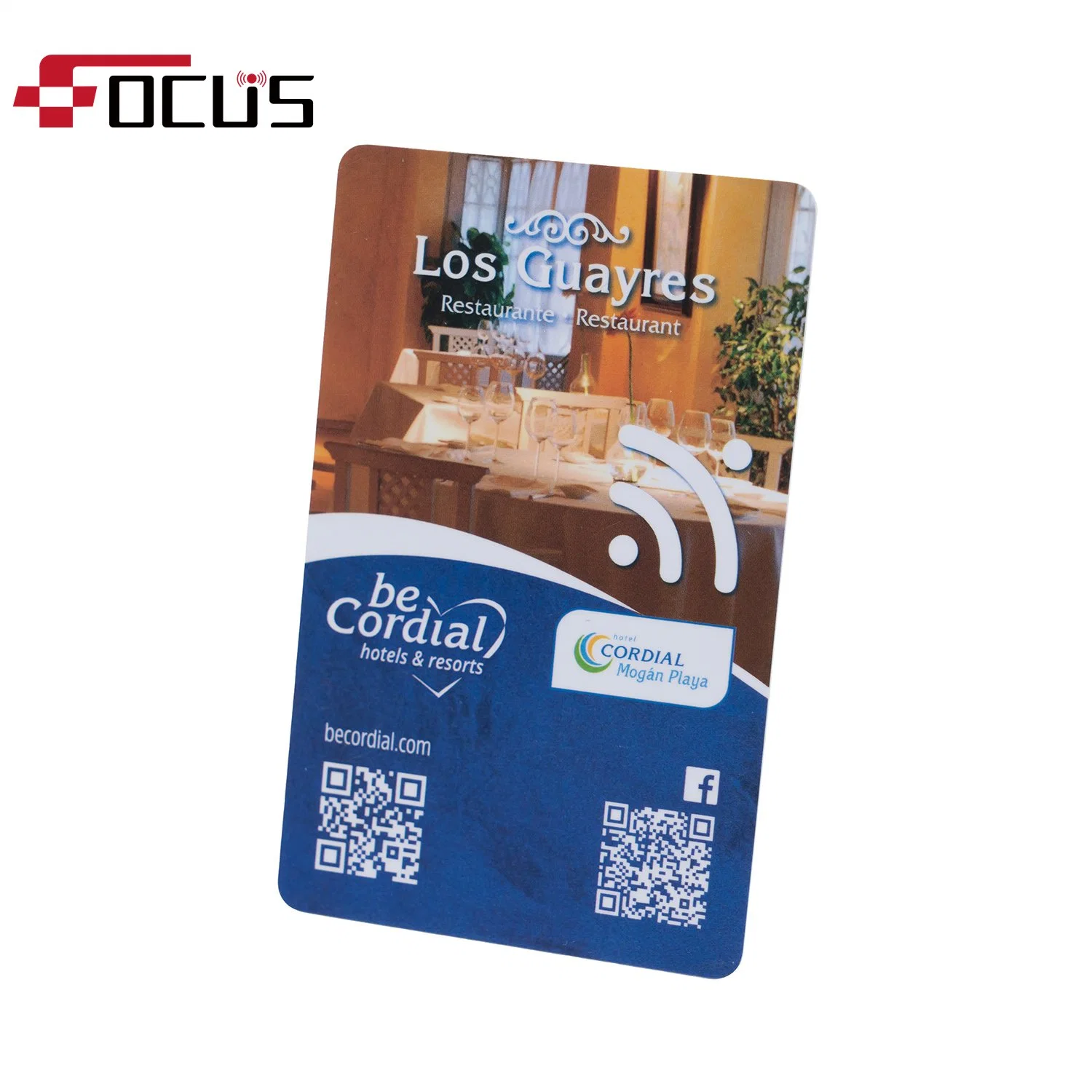 Carte de clé de visite de proximité ISO F08 carte à puce RFID pour Hôtel