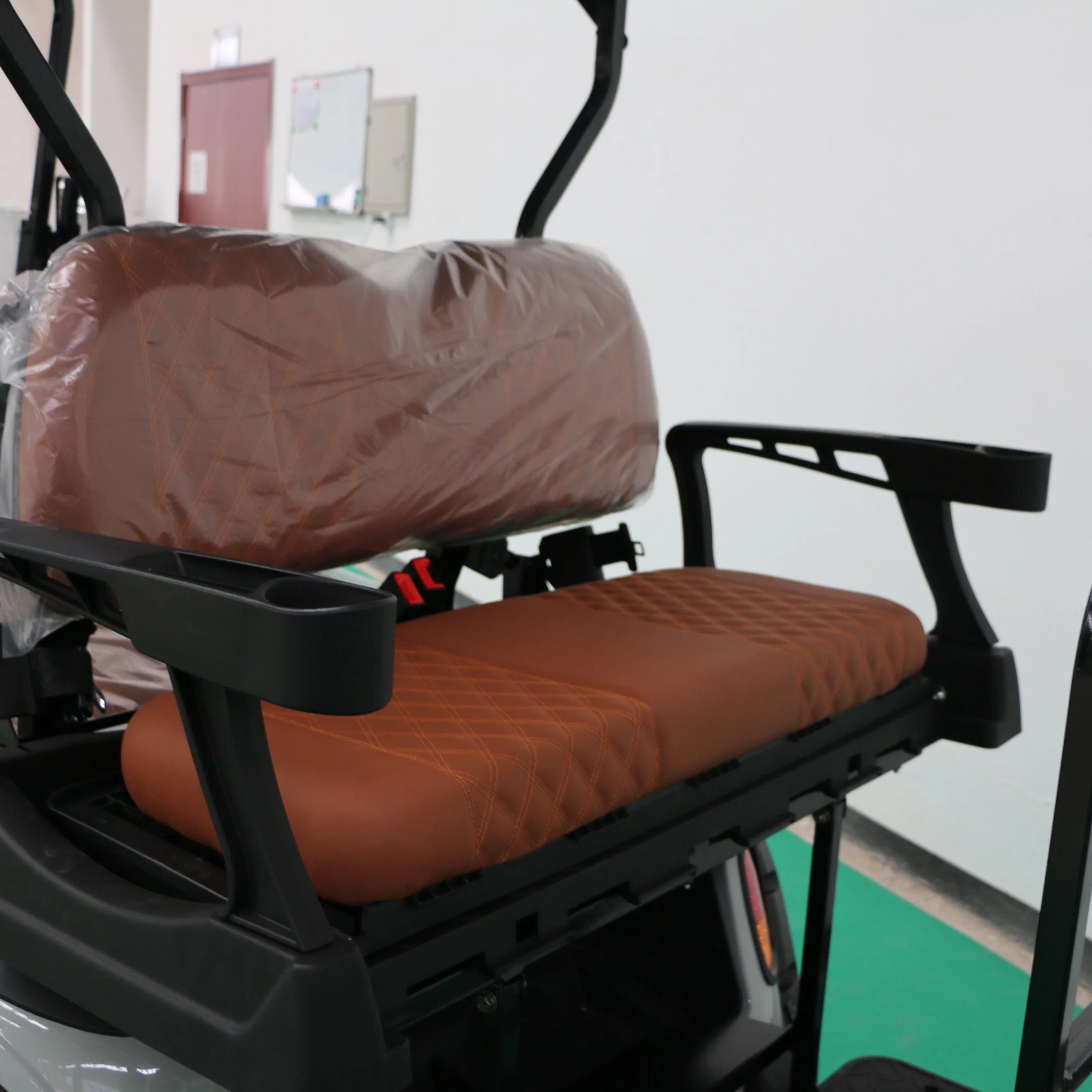 Electric Golf Cart with Entertainment Audio and Light Tape