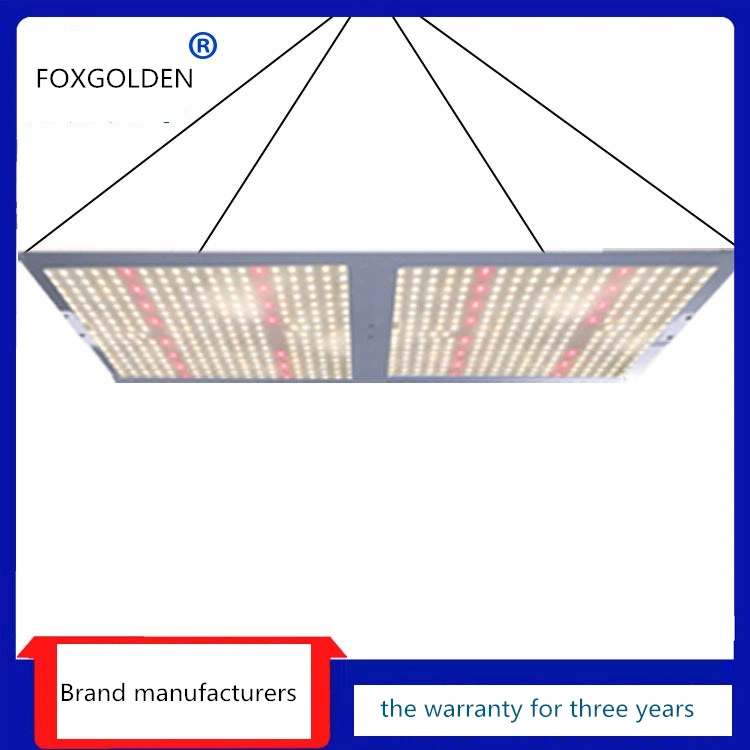 Luz de Cultivo LED Profissional Dimável de 100W para Plantas Hidropônicas Comerciais em Ambiente Interno.