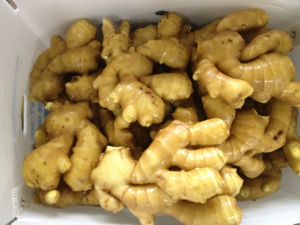 High-Quality Agriculture Products: Fresh Ginger From Shandong