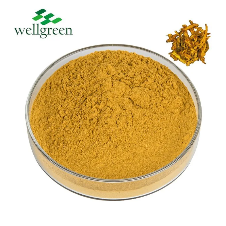 Wellgreen Natural Plant Huang Bai Amurense Phellodendron Bark Extract 30% Berberine HCl