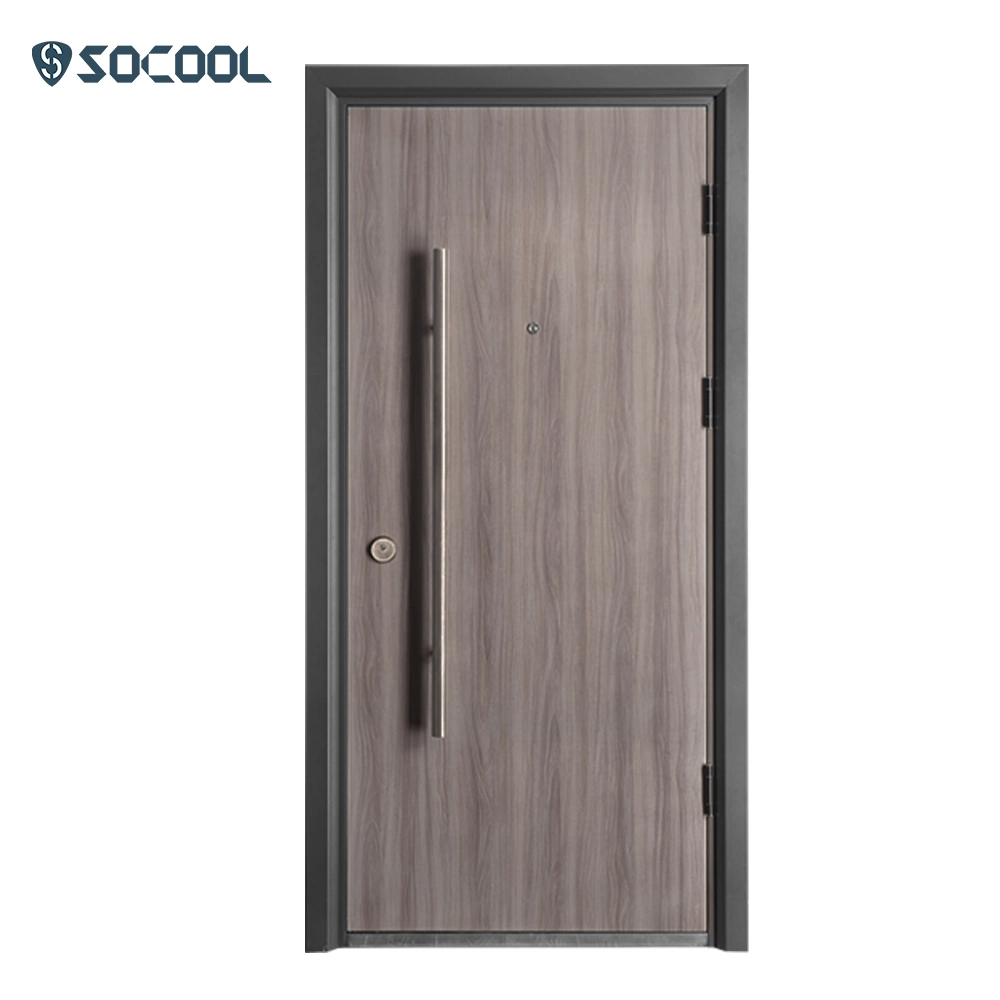 Modern Steel Exterior Entry Main Single Door Design for Apartment Unique Surface Stainless Steel Long Handle