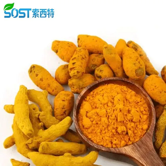 SOST China fabricante de raiz turmeric extrato 95% curcumin em pó