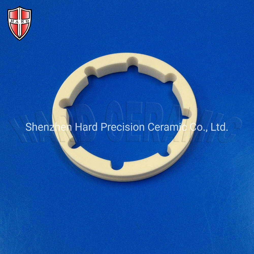 Customized Precision Alumina Ceramic Seal Gasket