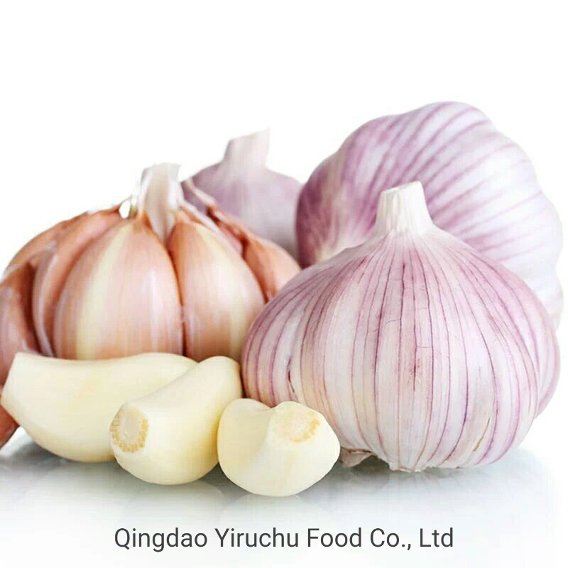 Garlic, an Agricultural Product Deeply Loved by The Chinese People