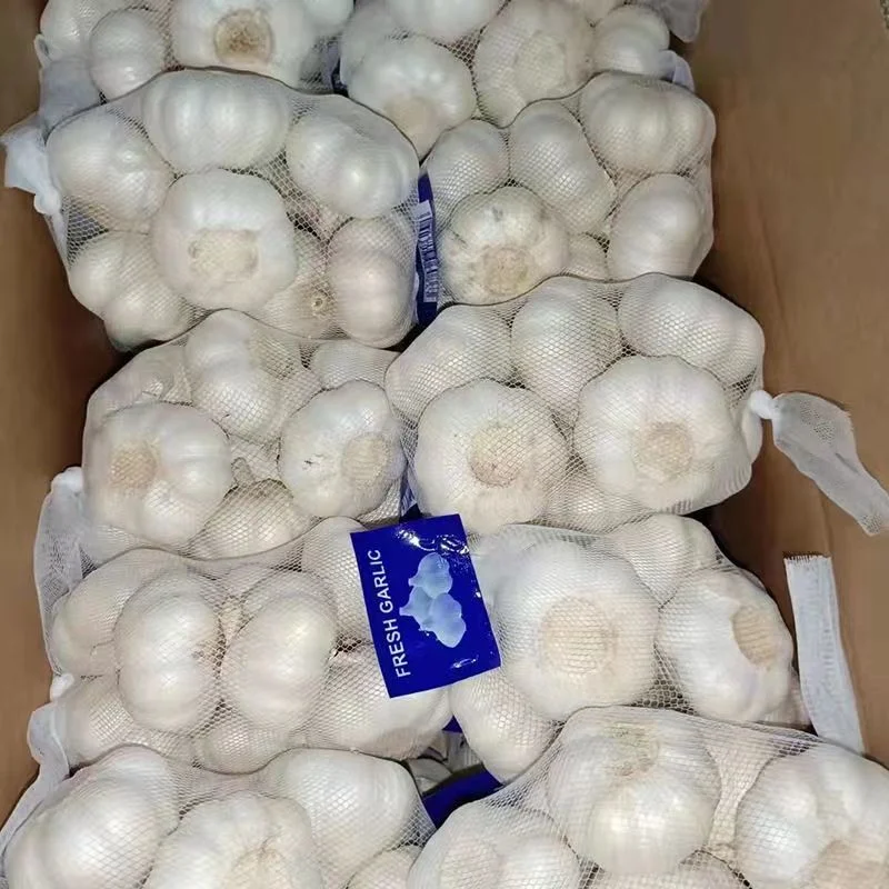 Top Quality Normal/Pure White Garlic