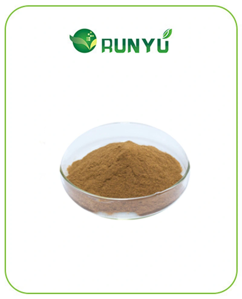 Factory Supply Best Price Natural Astragalus Root Extract Powder Astragaloside A