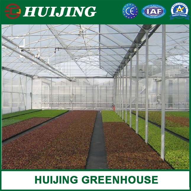 Hydroponics Multi-Span Plastic Po/PE Film Greenhouse for Vegetable Tomato Cucumber Garden Products