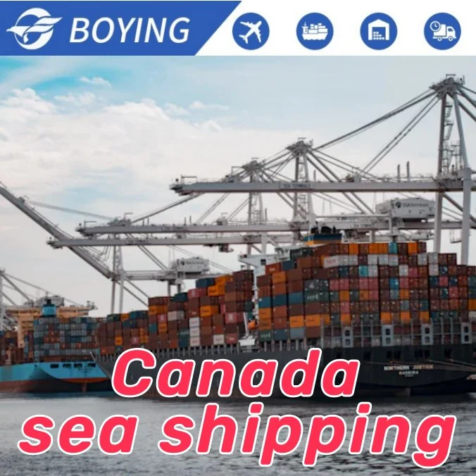 Companhia de transporte marítimo na China para o Canadá Alemanha Itália América Europa UAE Omã Arábia Saudita por Sea Shipping Service