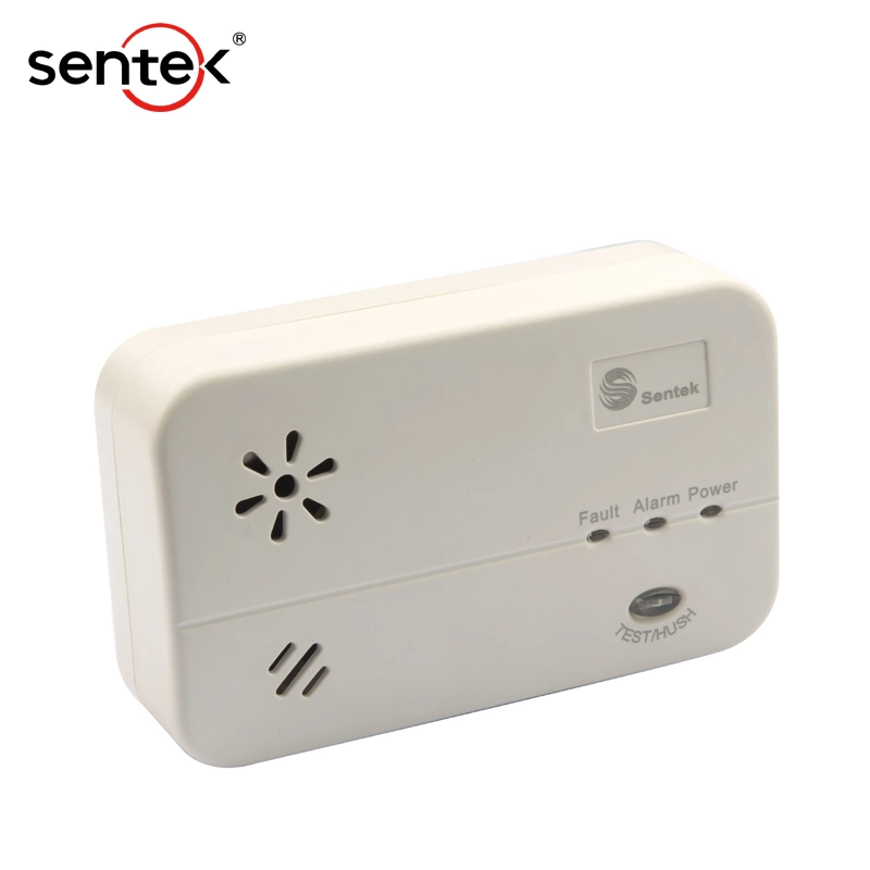 Carbon Monoxide Detector Co Alarm