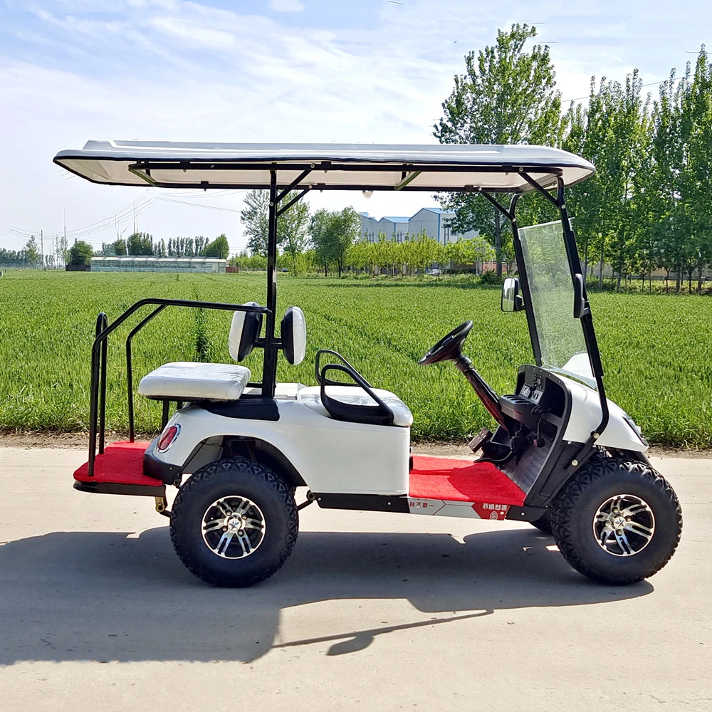 Wholesale/Supplier 2 4 6 8 Seats Golf Cart Sightseeing Vehicle/ Electric Utility Golf Car